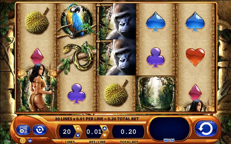 Amazon Queen Slot